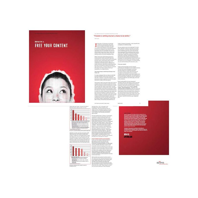Whitepaper and publication design sample from the graphic design portfolio